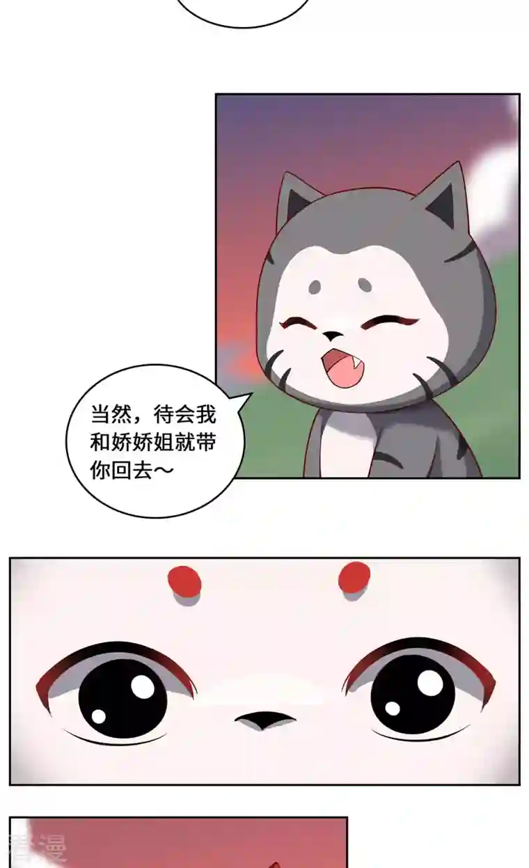 吾本是猫第93话 部署计划