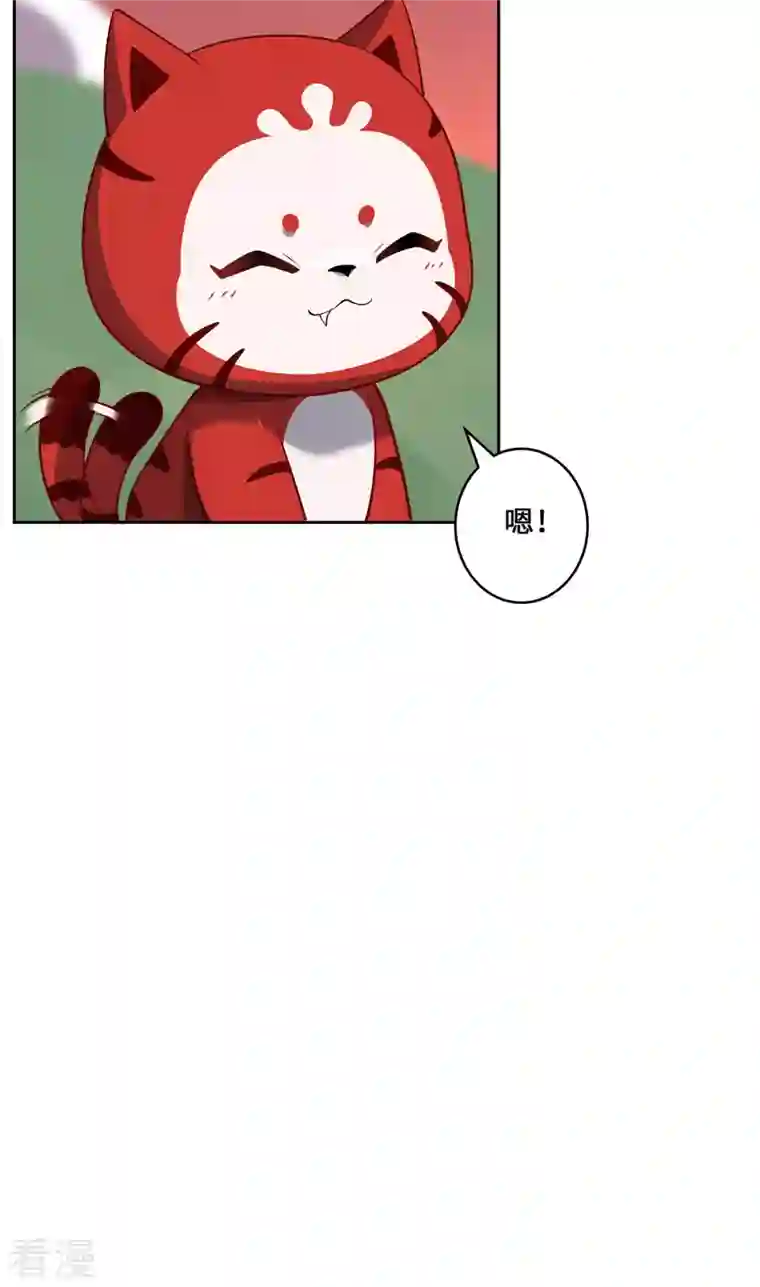 吾本是猫第93话 部署计划