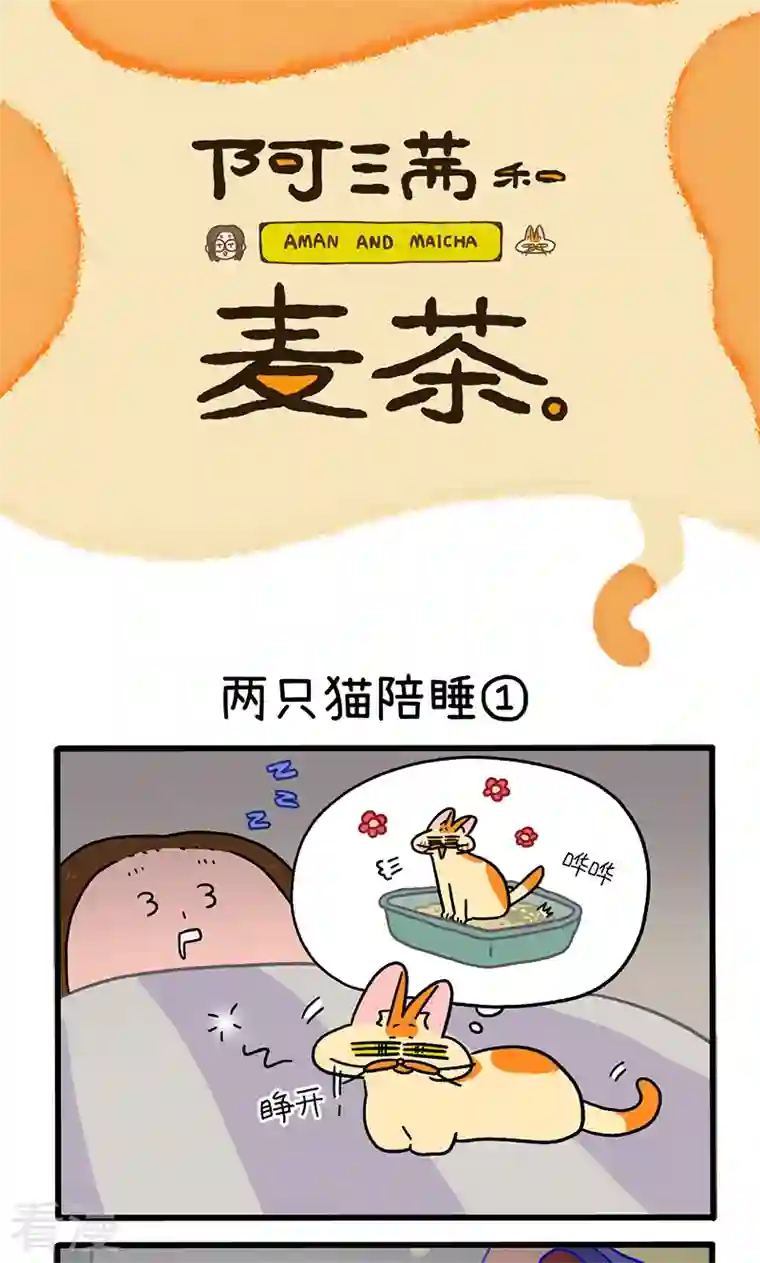阿满和麦茶第93话 两只猫陪睡