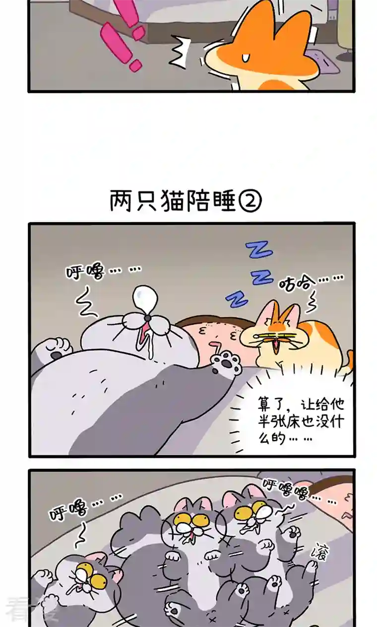 阿满和麦茶第93话 两只猫陪睡