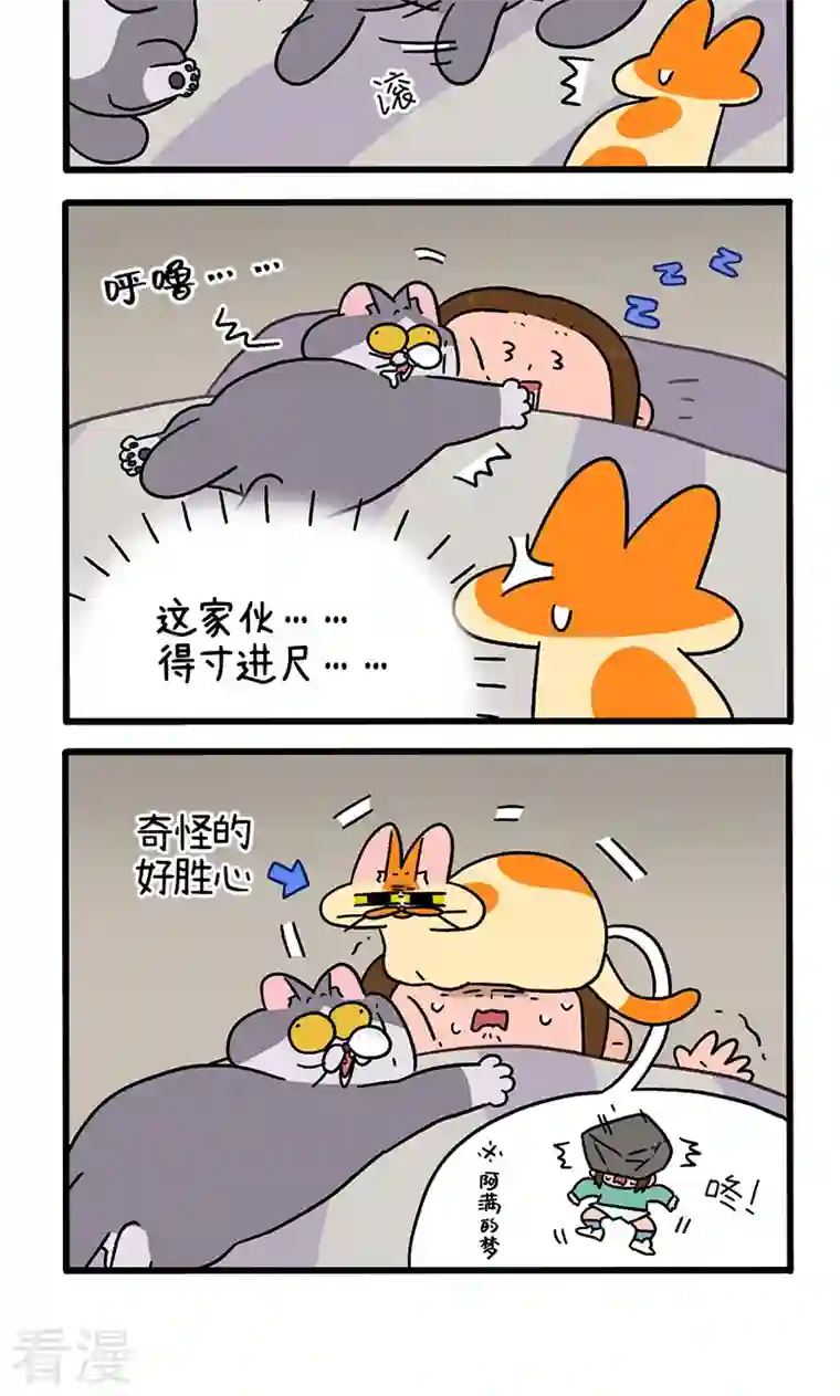 阿满和麦茶第93话 两只猫陪睡