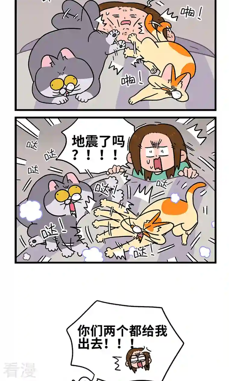 阿满和麦茶第93话 两只猫陪睡