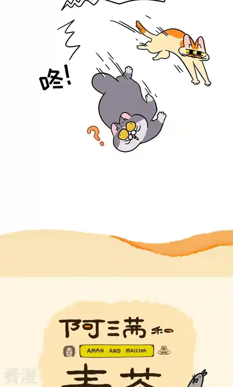 阿满和麦茶第93话 两只猫陪睡