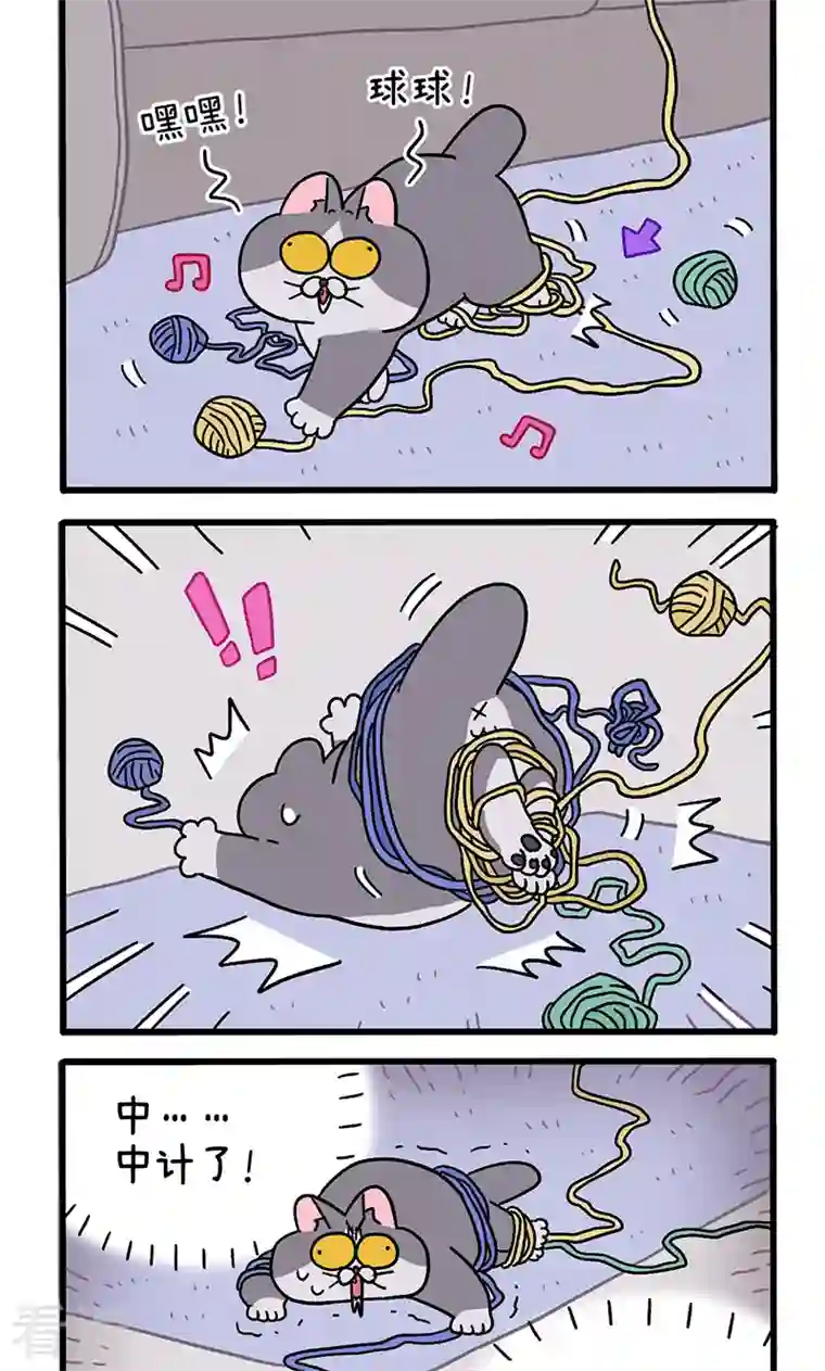 阿满和麦茶第94话 毛线球