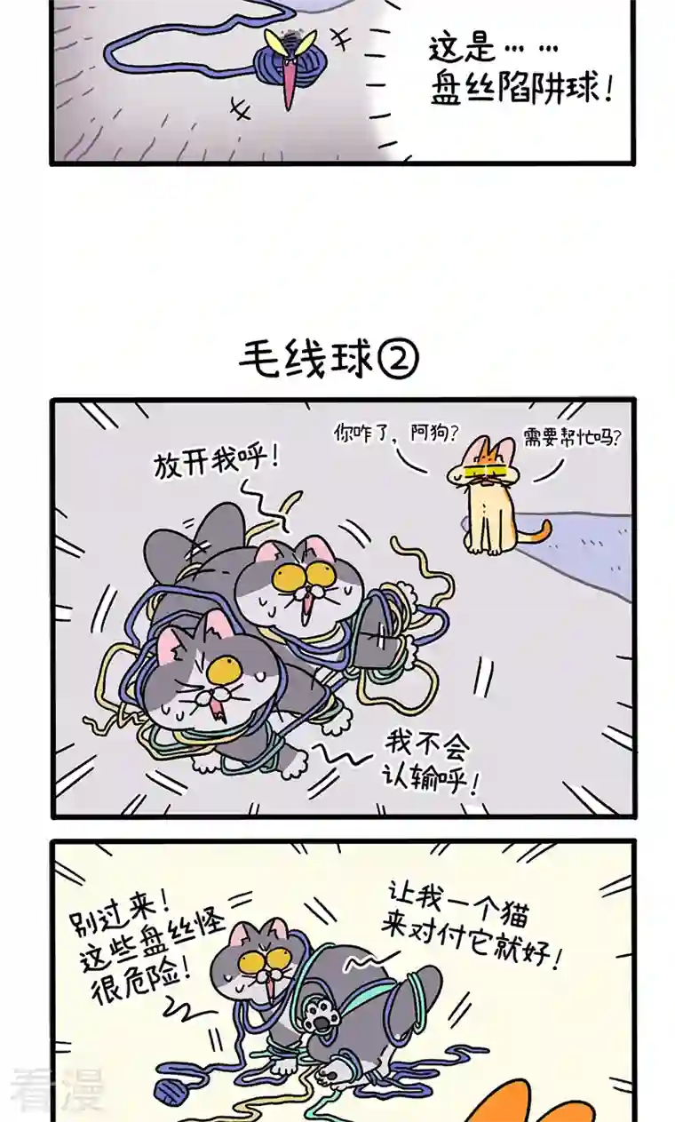 阿满和麦茶第94话 毛线球