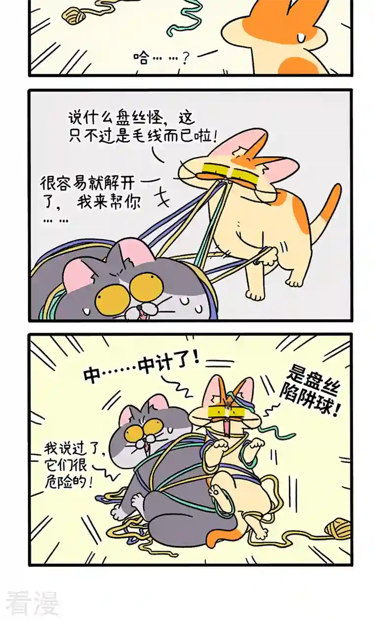 阿满和麦茶第94话 毛线球