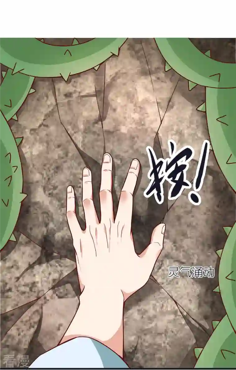 荒天至尊第105话 灵脉石