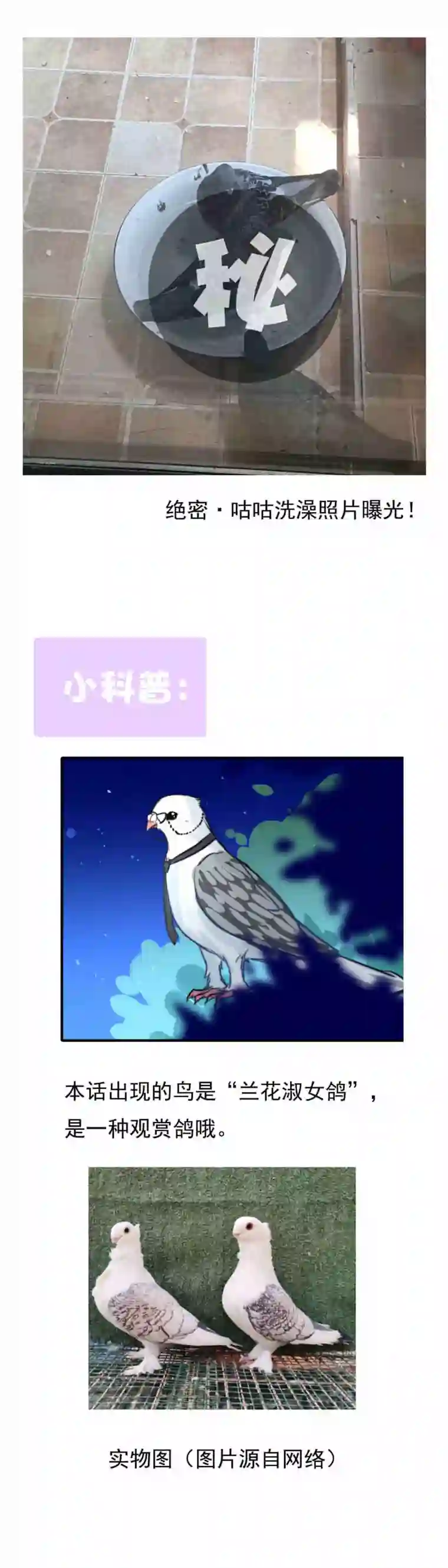 我愿为你献上黎明浅春（完）