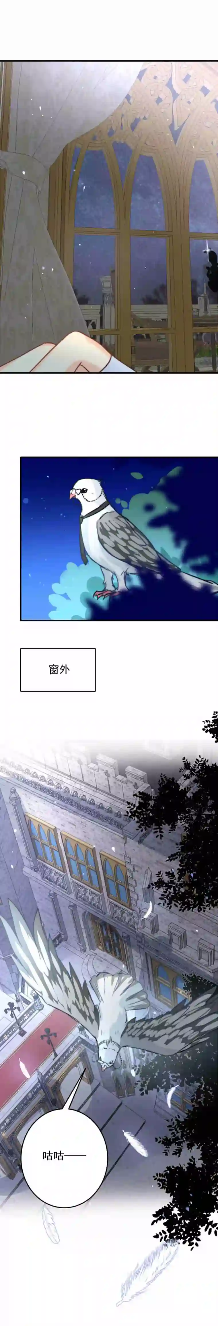 我愿为你献上黎明浅春（完）
