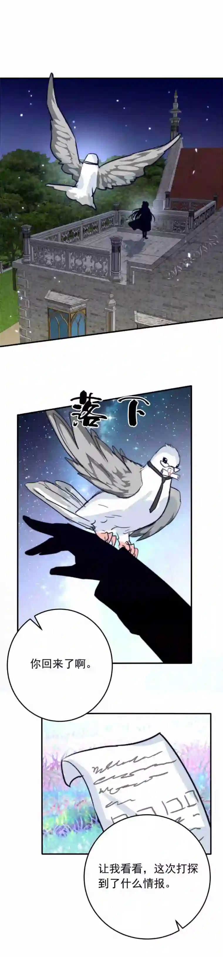 我愿为你献上黎明浅春（完）