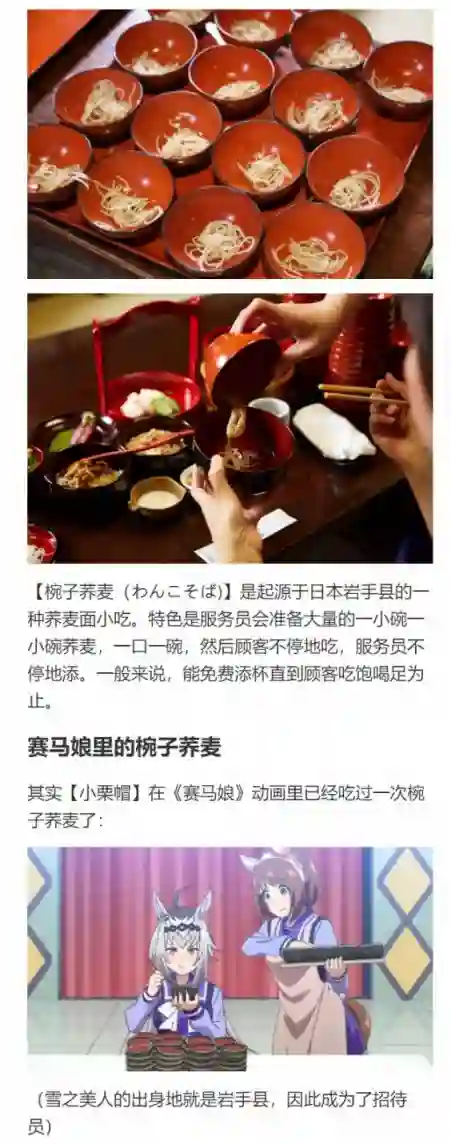 赛马娘：芦毛灰姑娘第79话