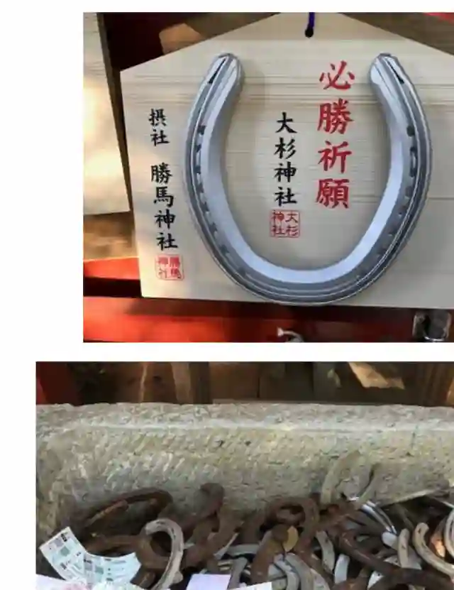 赛马娘：芦毛灰姑娘第80话