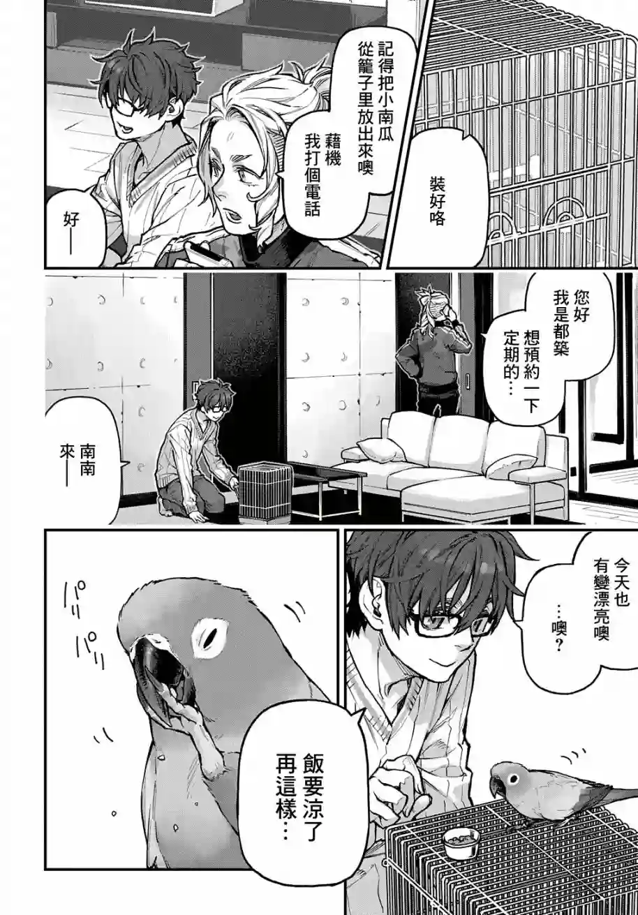 鸟成瘾者第28话
