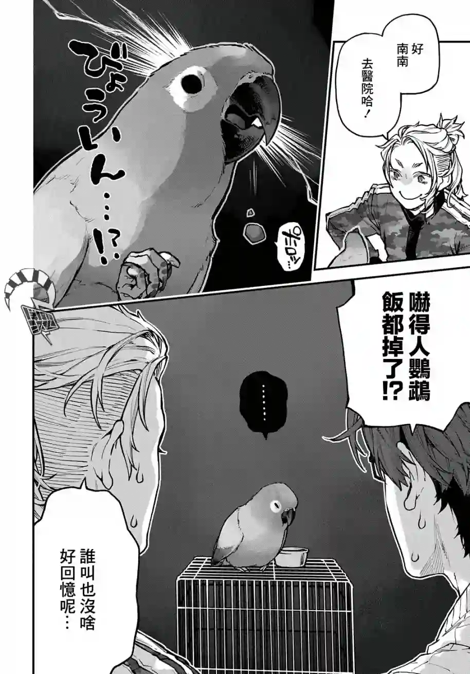 鸟成瘾者第28话