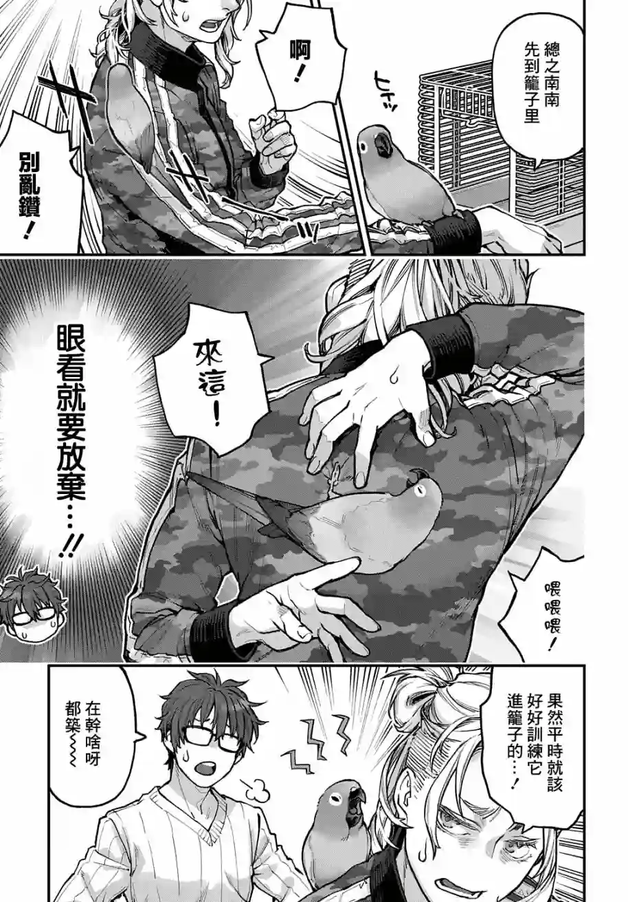 鸟成瘾者第28话