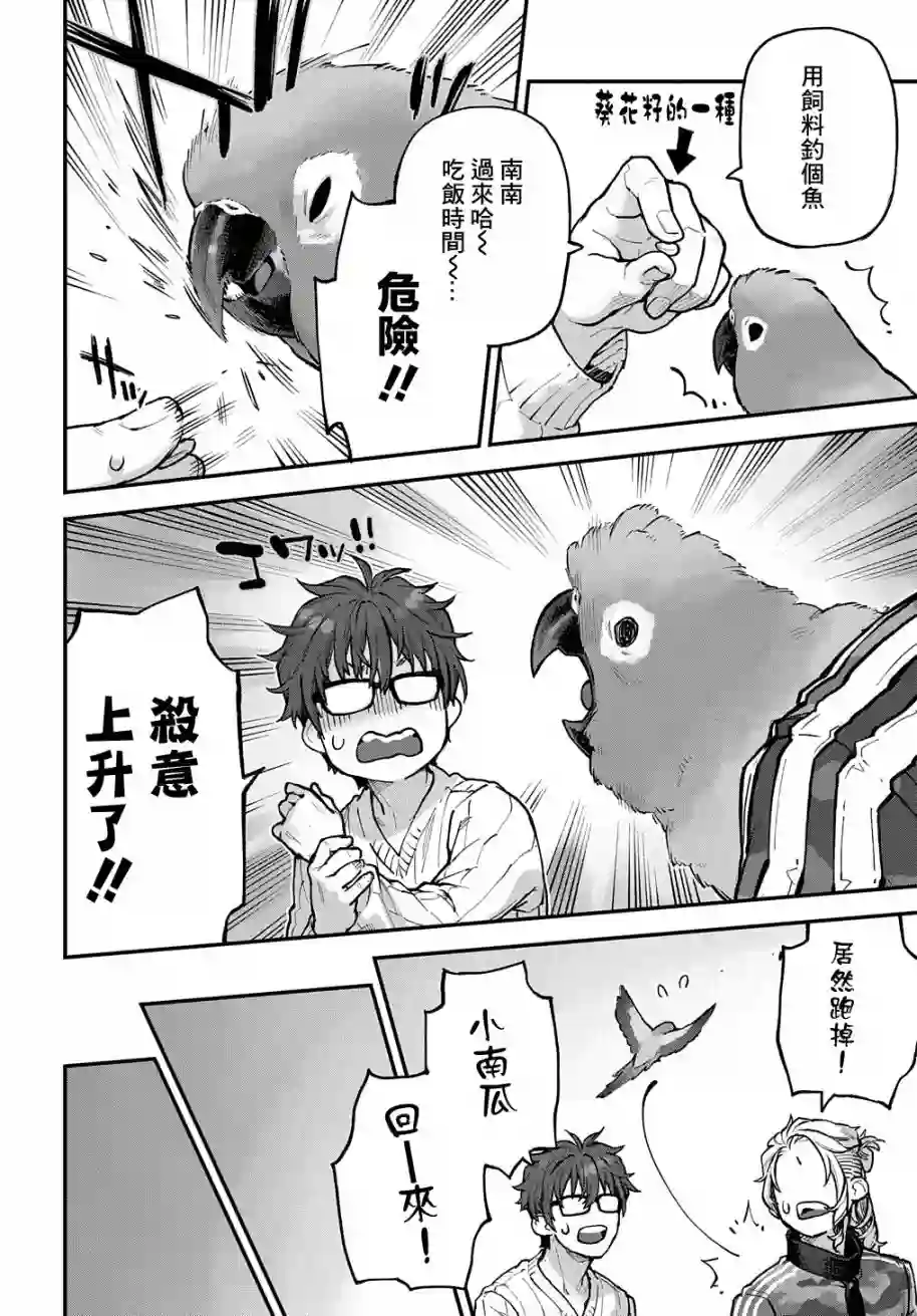 鸟成瘾者第28话