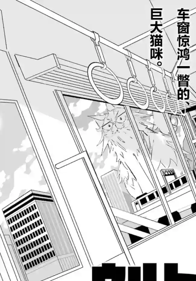 奥特猫猫第05话