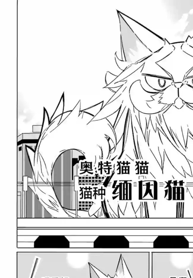 奥特猫猫第05话