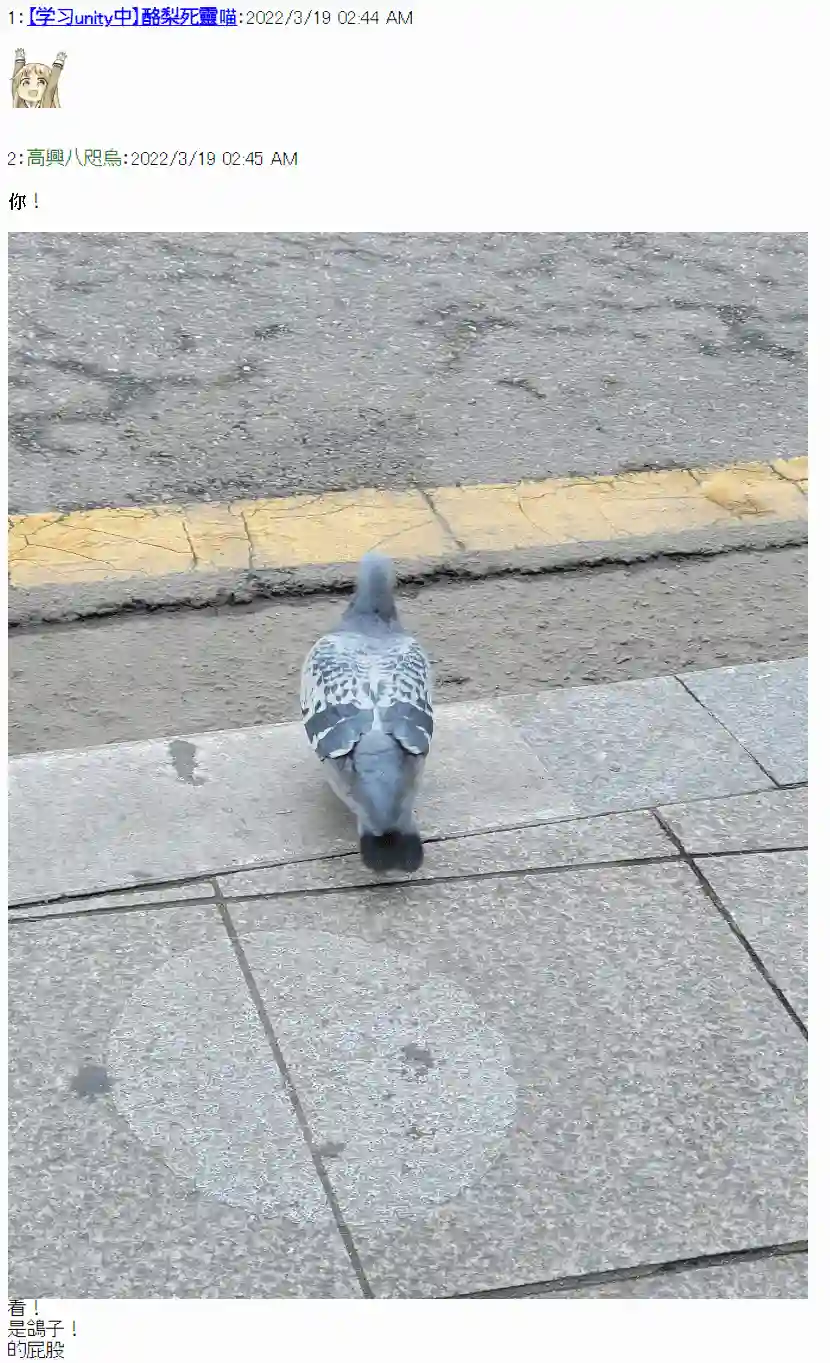 高兴旅店第15日