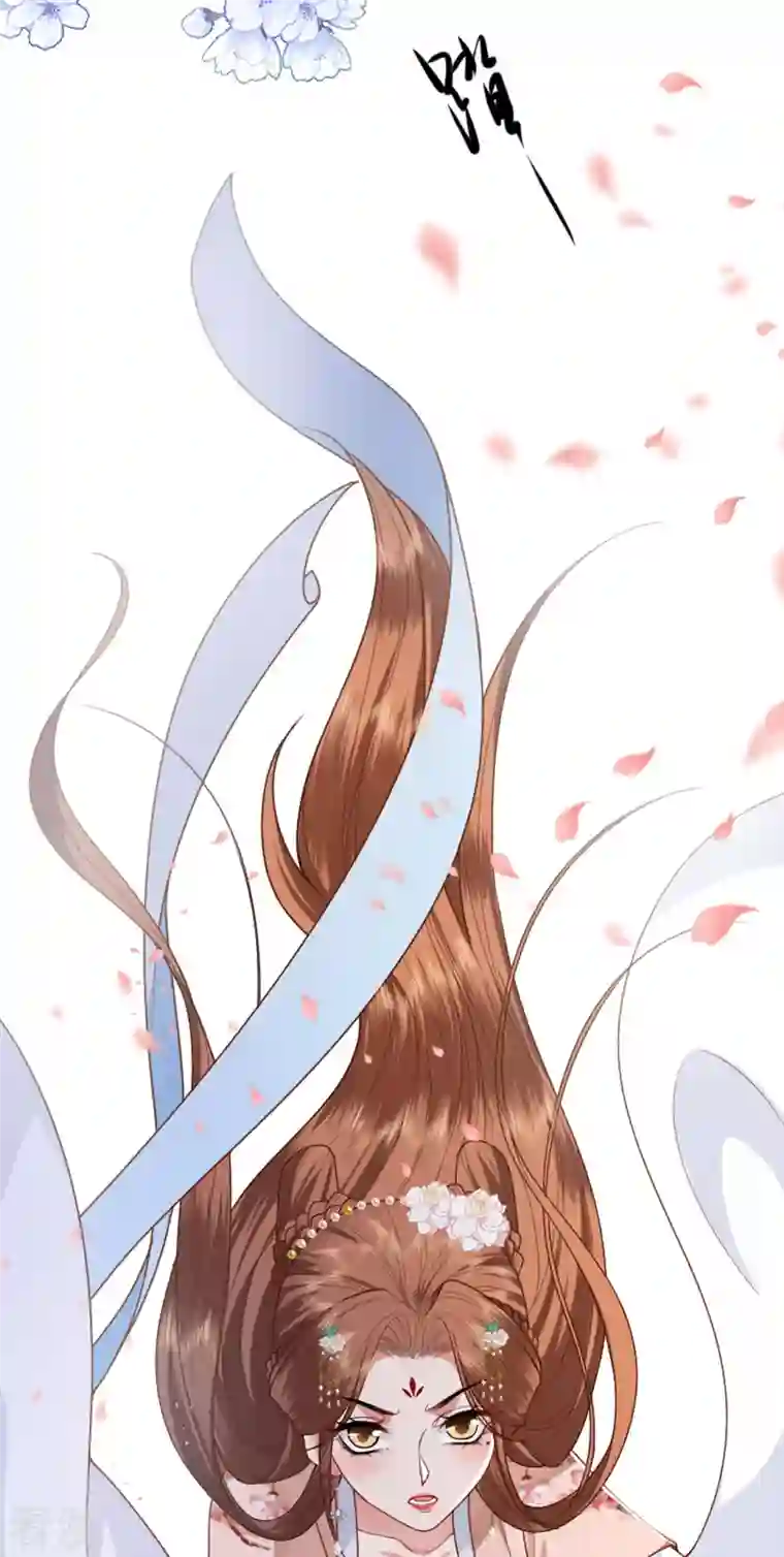 将军，本妃不承宠第18话 惊喜连连