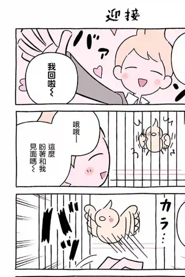 不可思议的猫咪 小九第239话