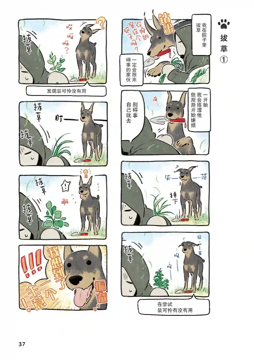 杜比与诺拉 狗狗赐予我的温柔世界第03话