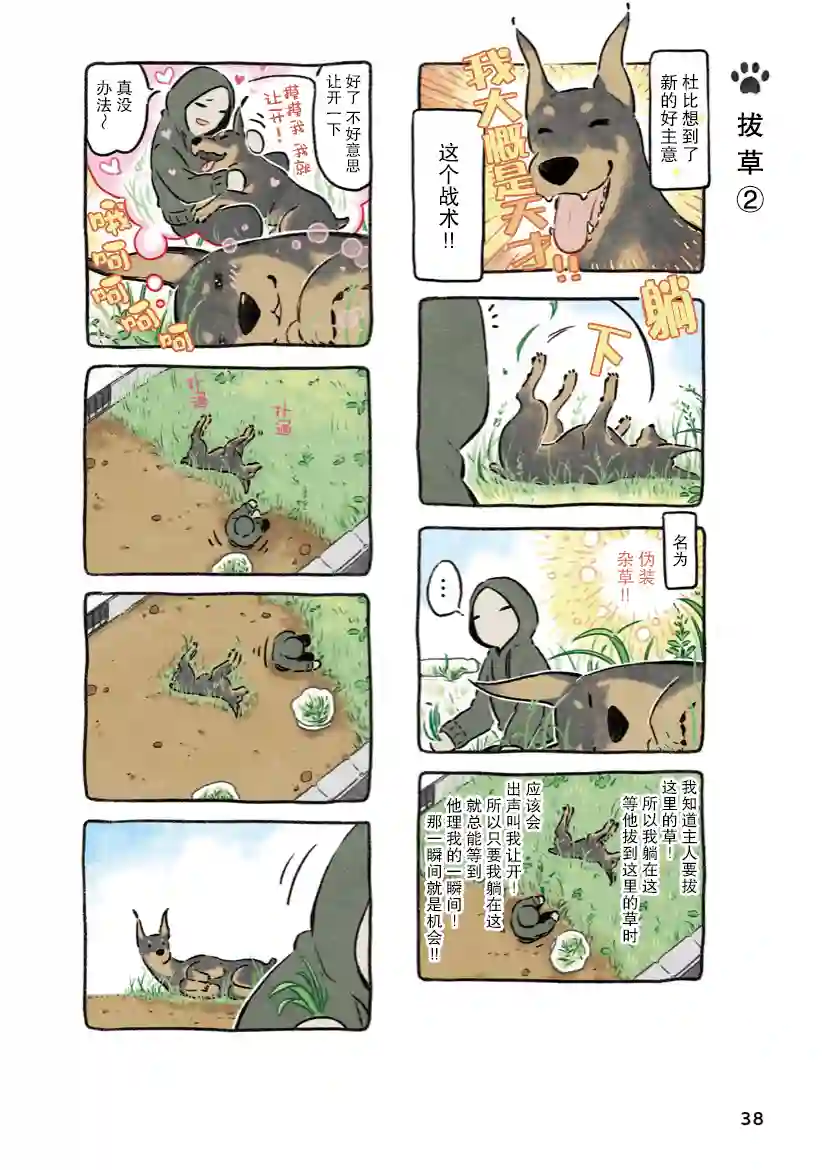 杜比与诺拉 狗狗赐予我的温柔世界第03话