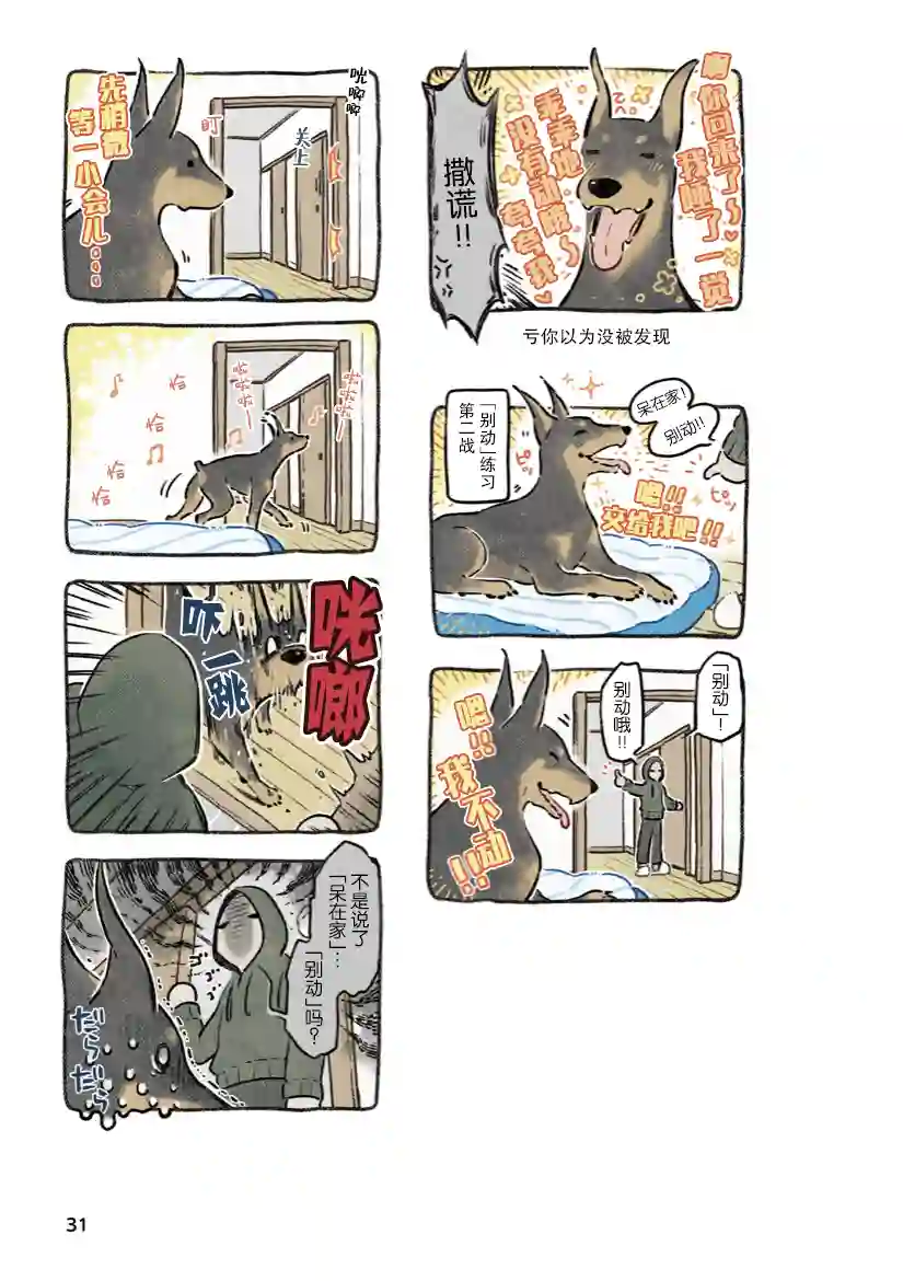 杜比与诺拉 狗狗赐予我的温柔世界第03话