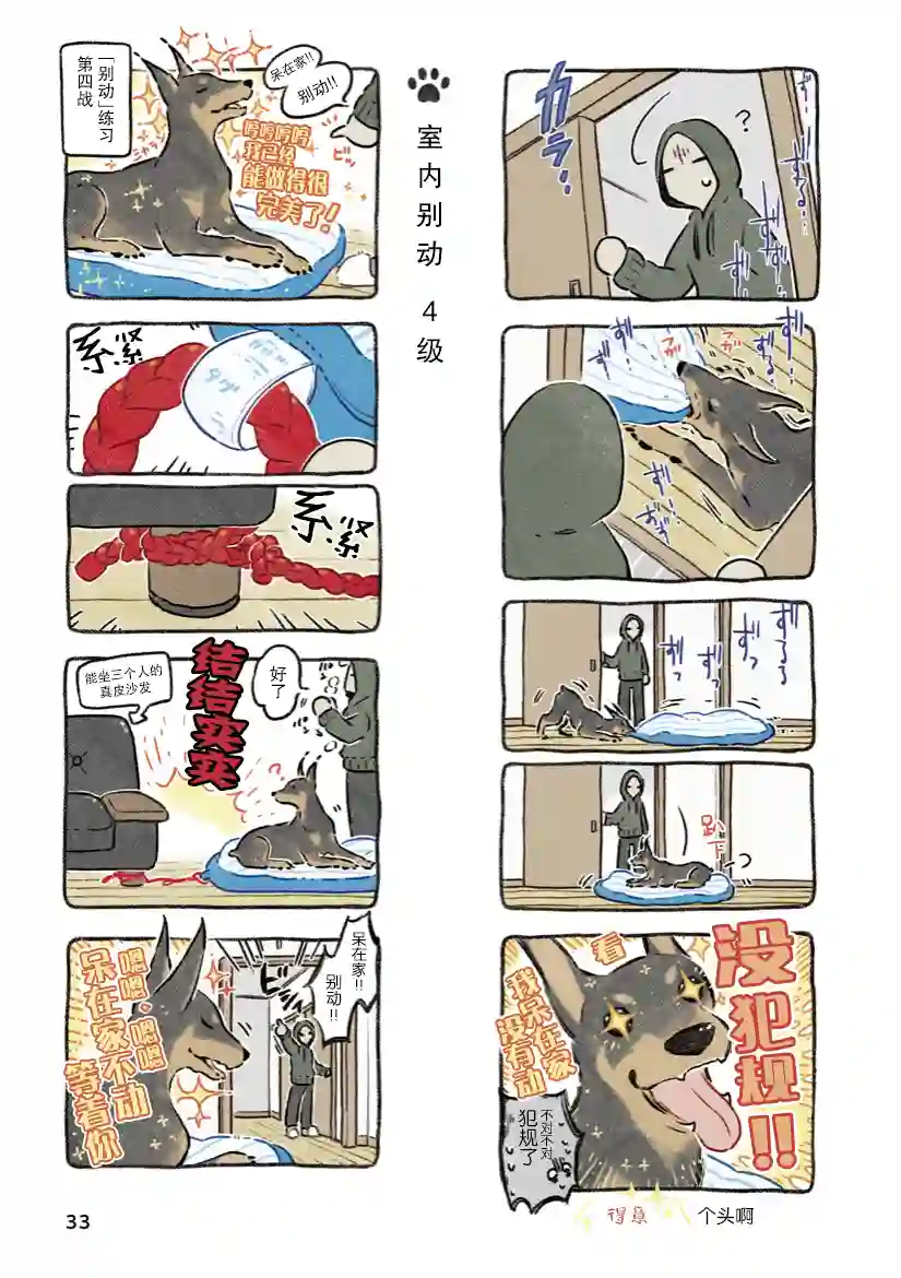 杜比与诺拉 狗狗赐予我的温柔世界第03话