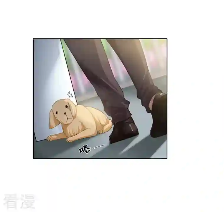 天降萌妻第5话 你是猪吗