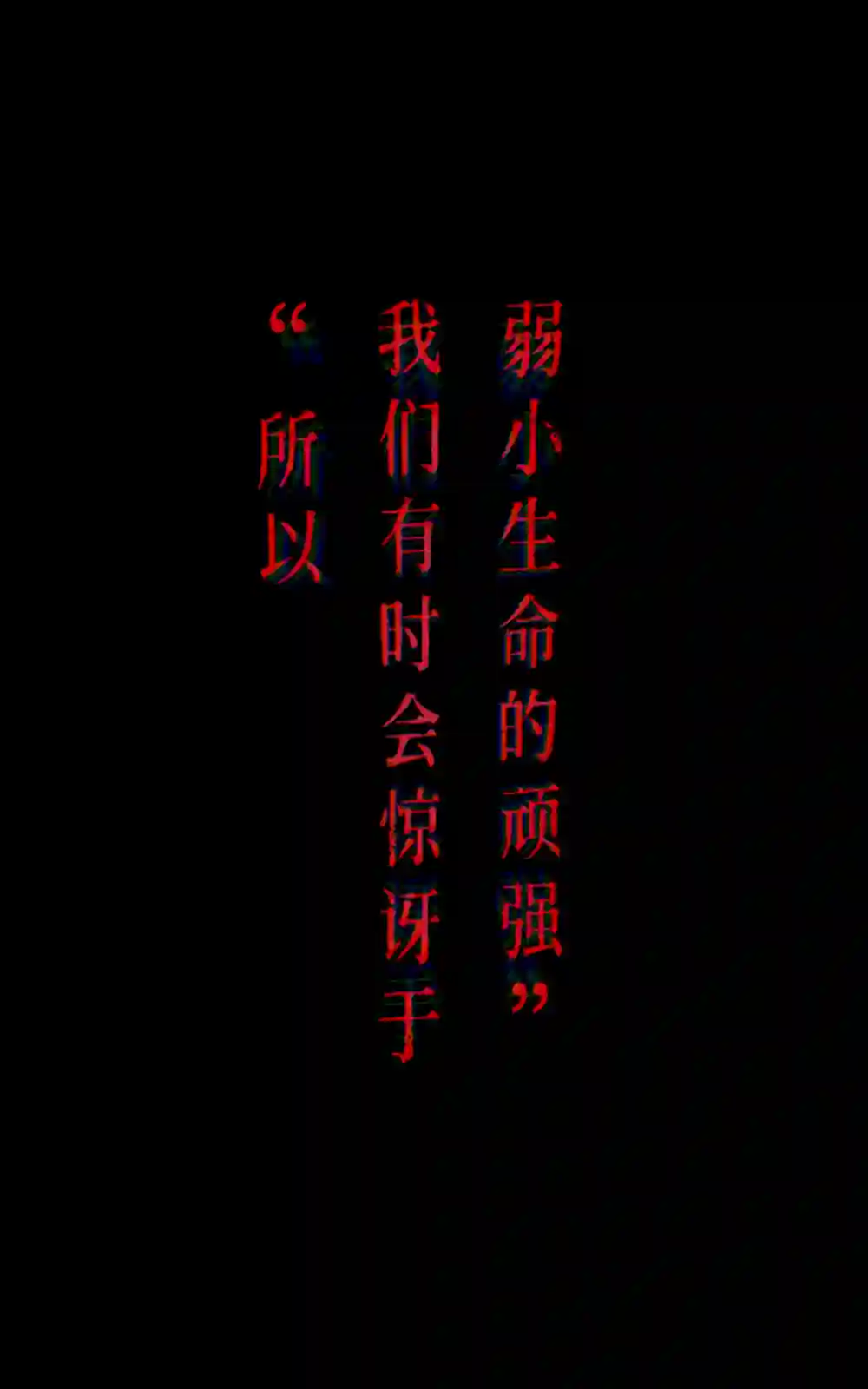 在没有你的世界上
