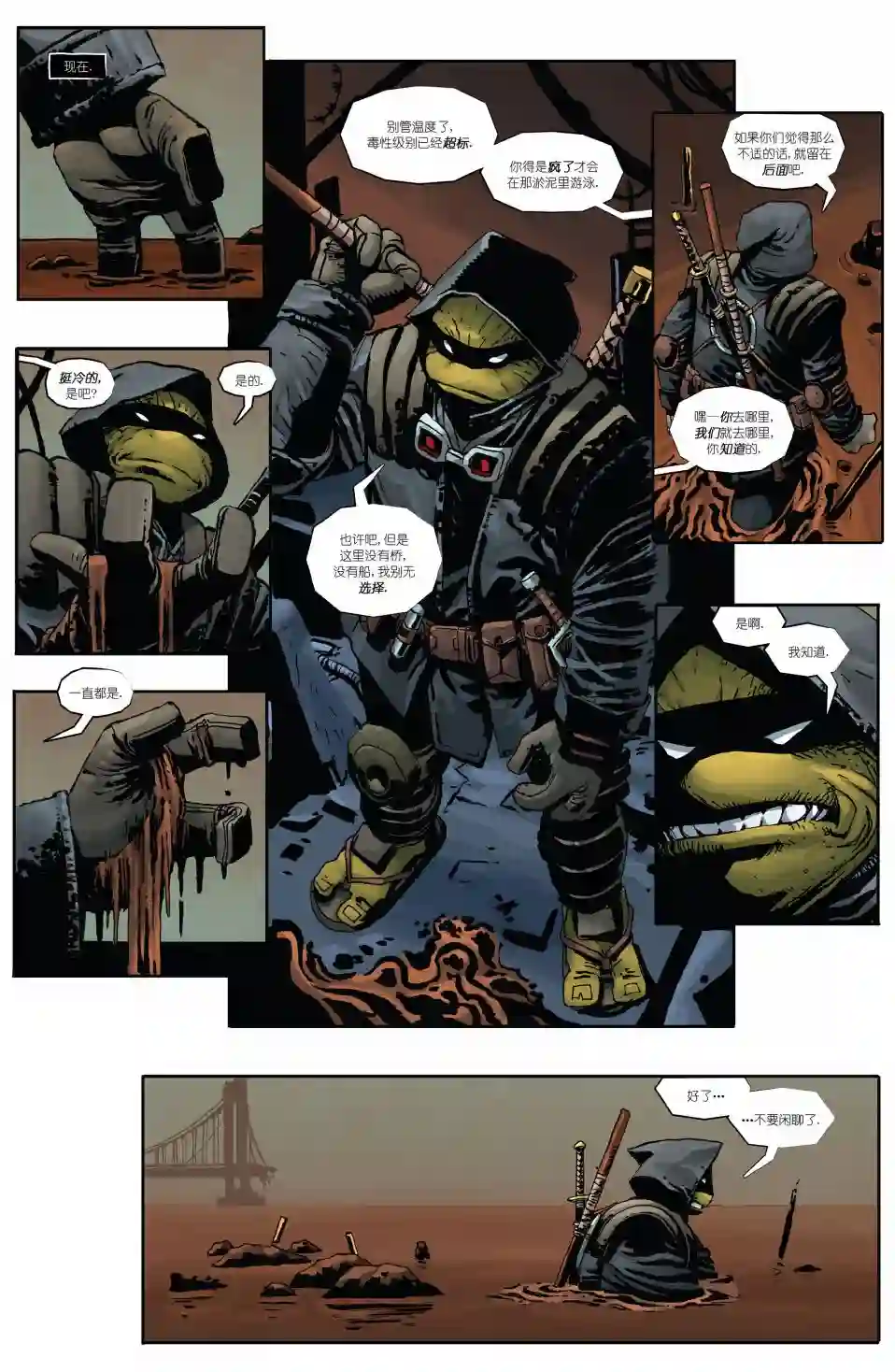 忍者神龟：最后的浪人第01卷