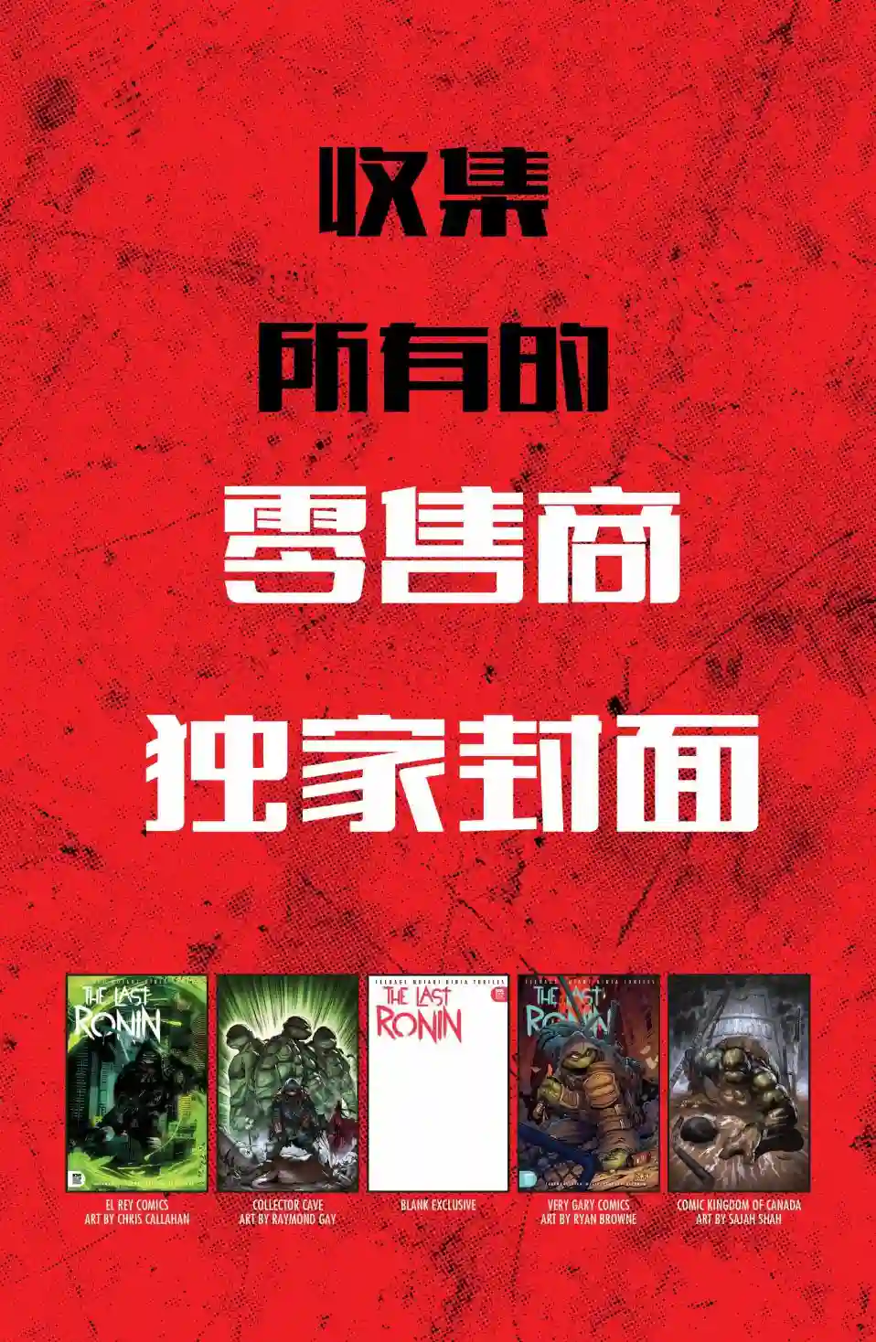 忍者神龟：最后的浪人第01卷