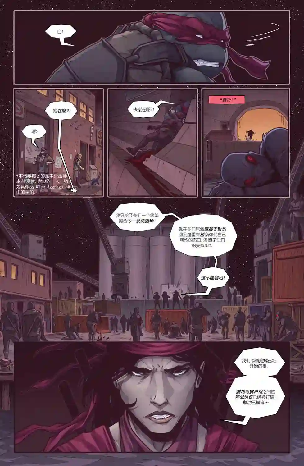 忍者神龟：最后的浪人第02卷