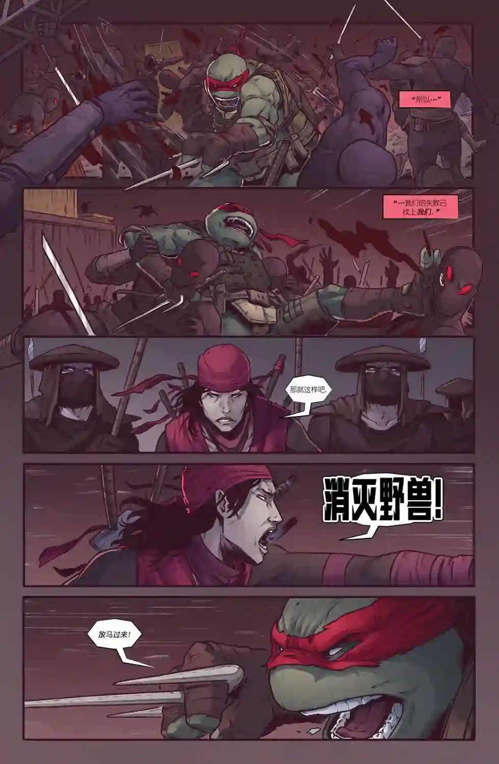 忍者神龟：最后的浪人第02卷