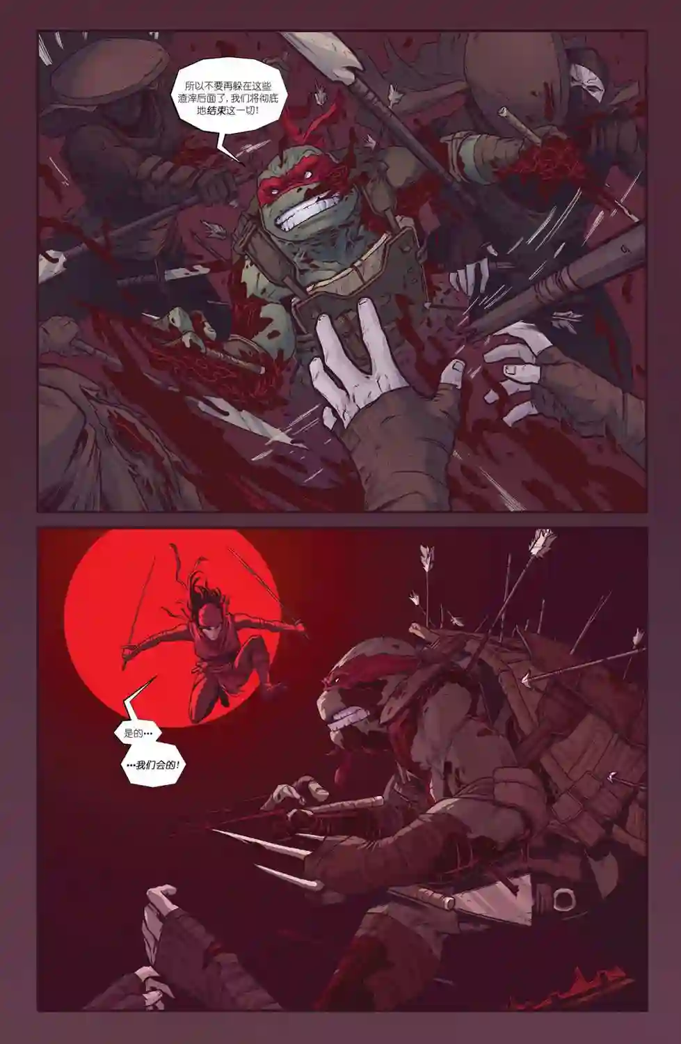 忍者神龟：最后的浪人第02卷