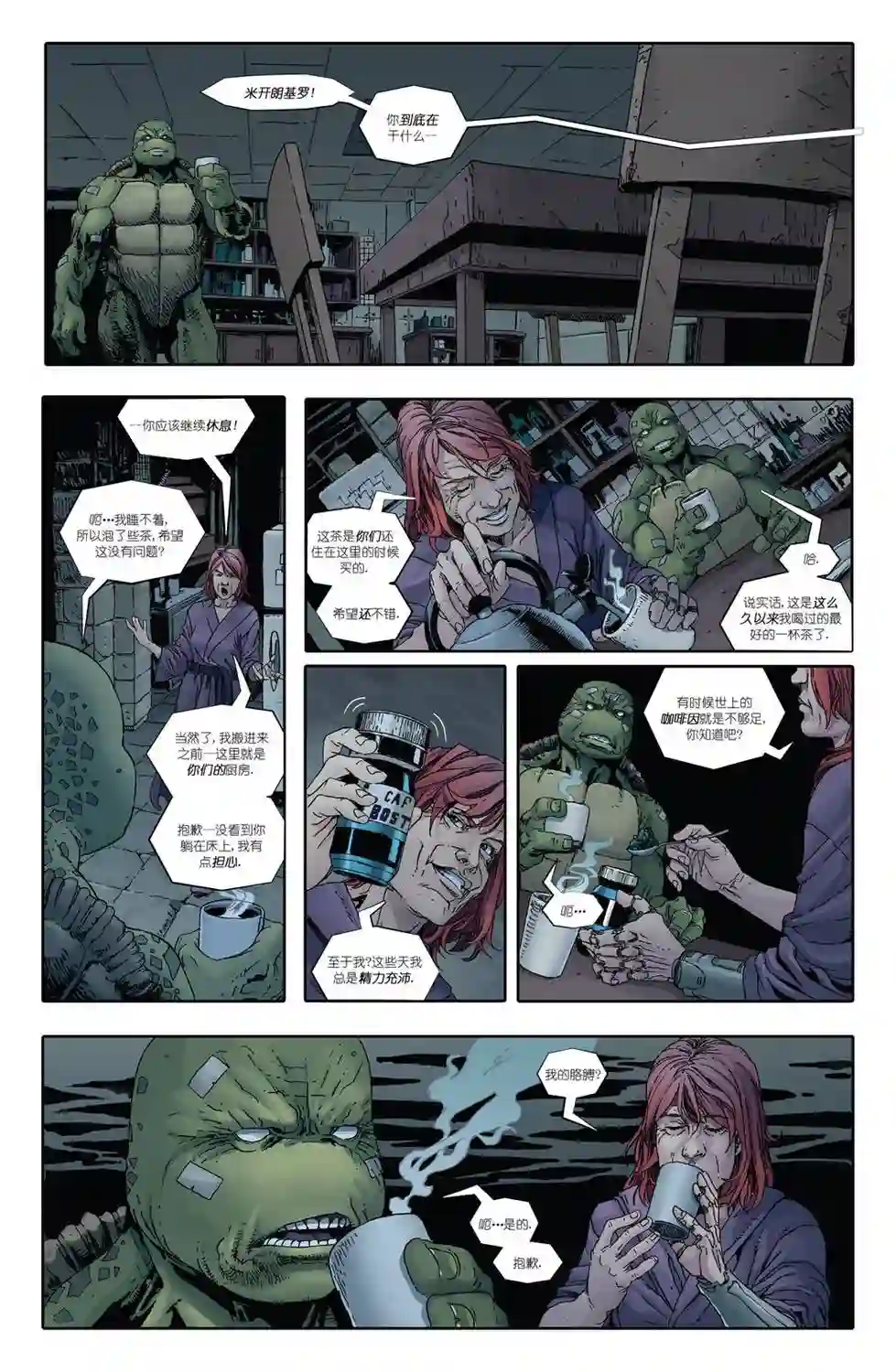 忍者神龟：最后的浪人第02卷