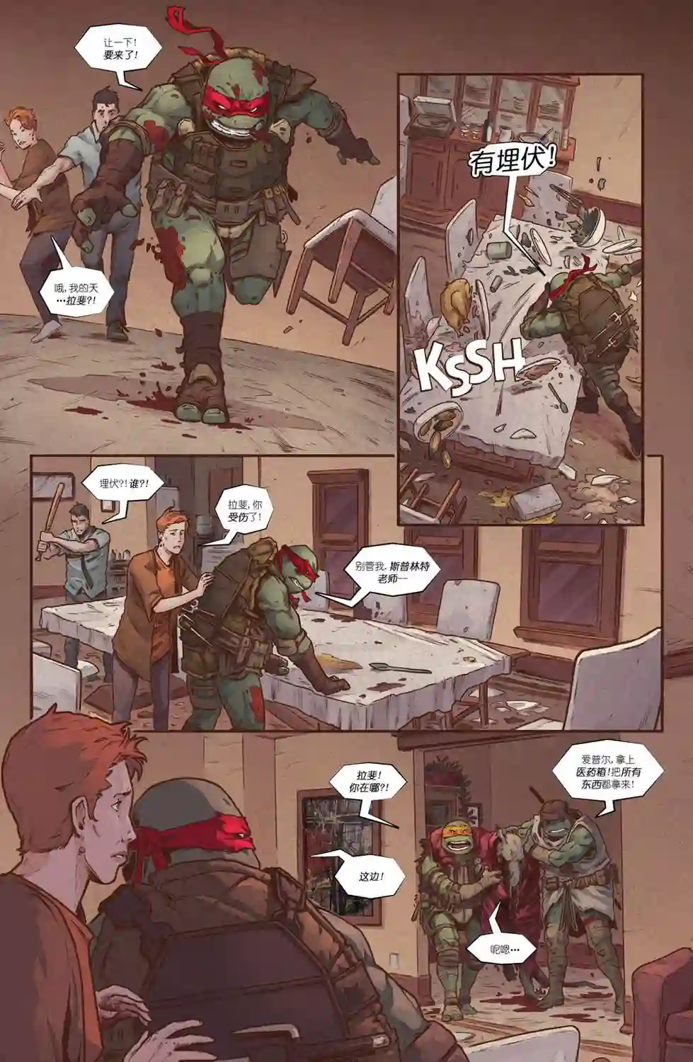 忍者神龟：最后的浪人第02卷