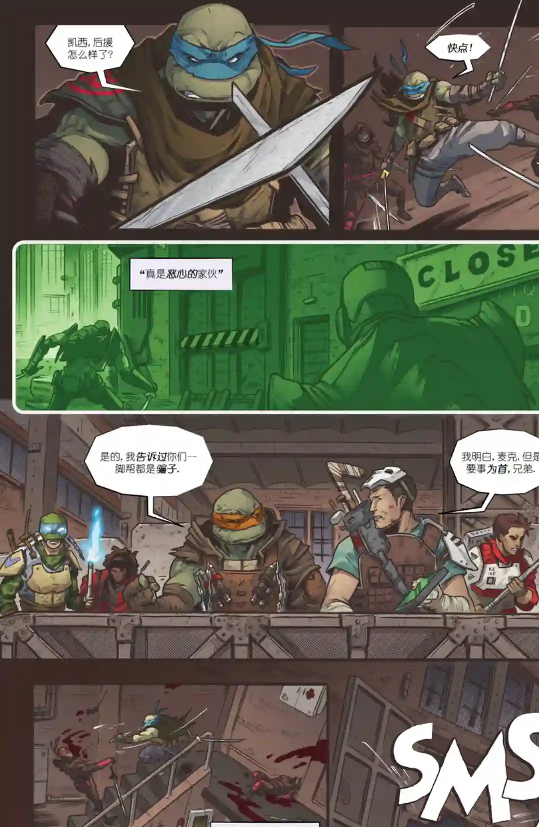 忍者神龟：最后的浪人第03卷