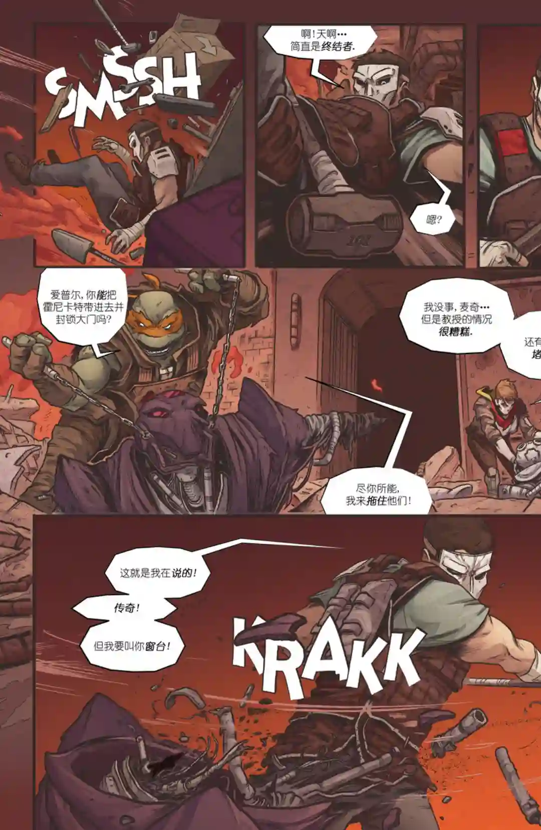 忍者神龟：最后的浪人第03卷