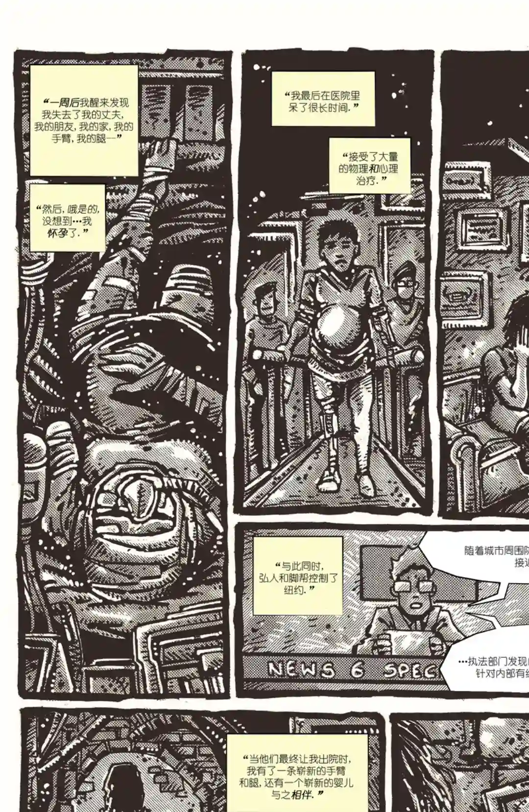忍者神龟：最后的浪人第03卷