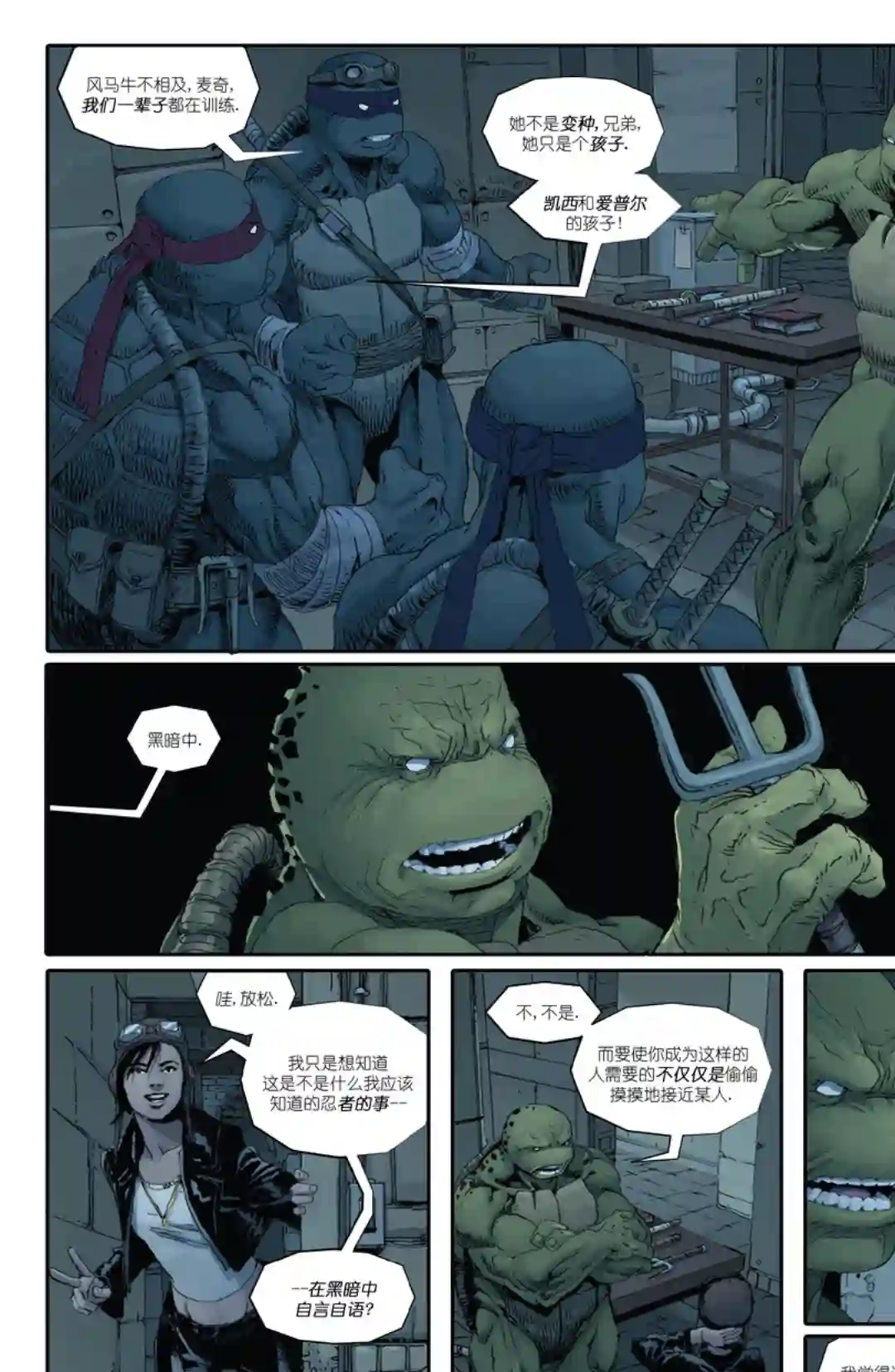 忍者神龟：最后的浪人第03卷