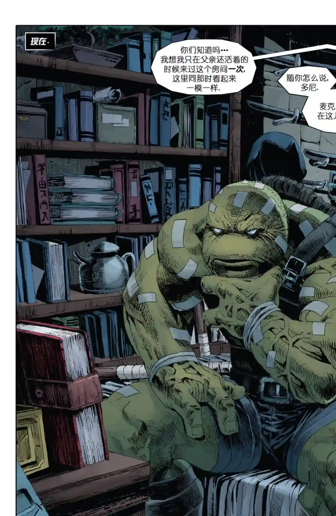 忍者神龟：最后的浪人第05卷