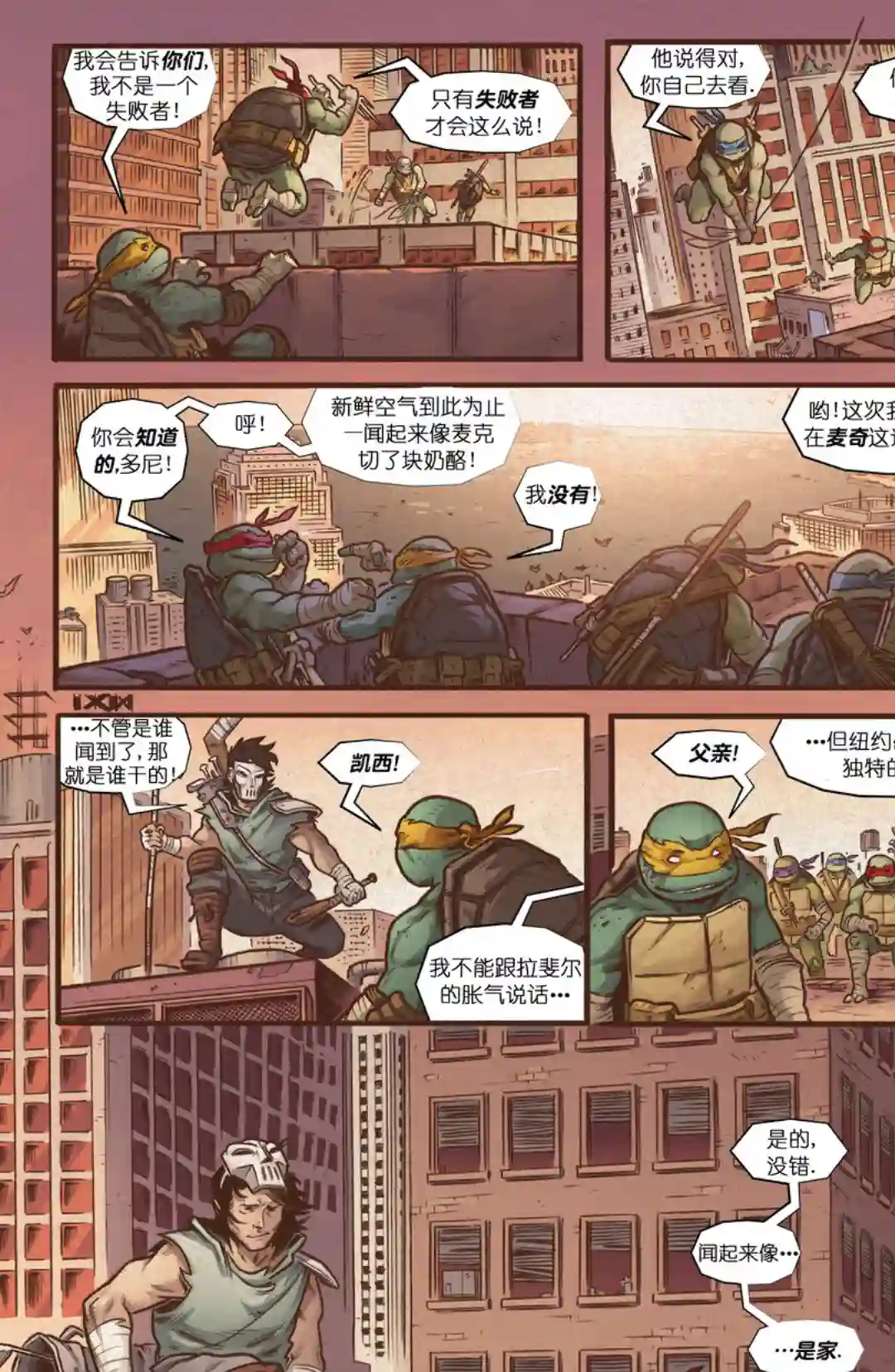 忍者神龟：最后的浪人第05卷