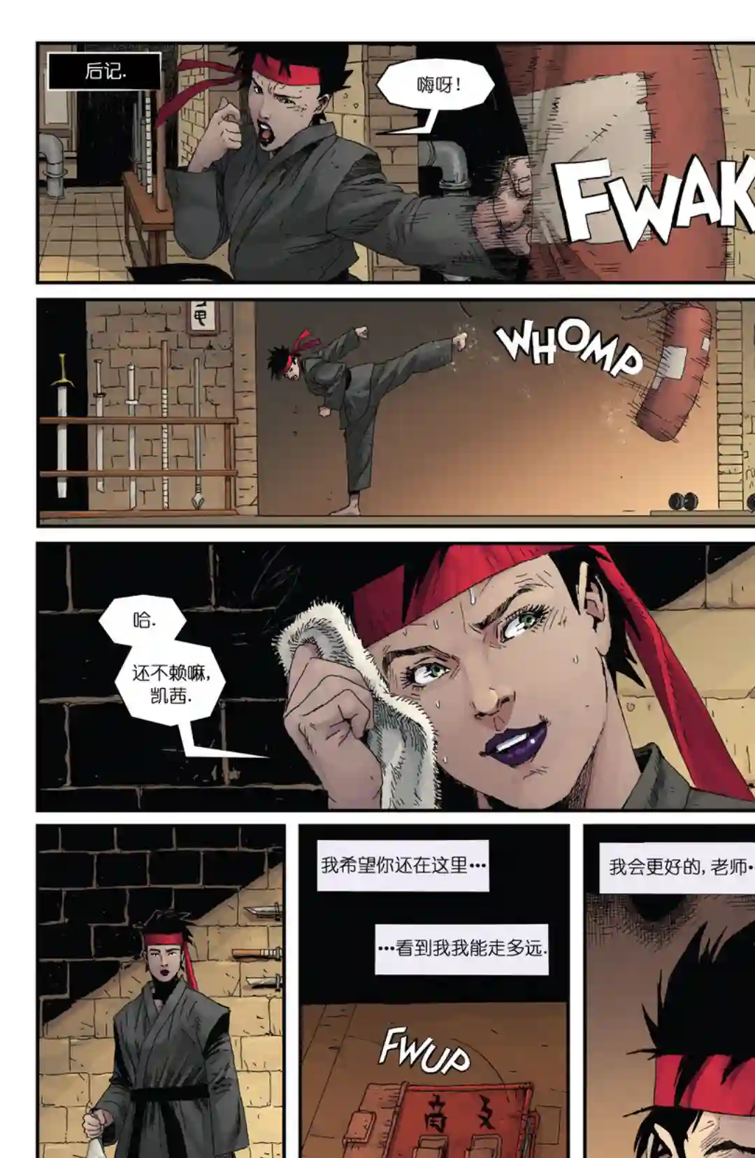 忍者神龟：最后的浪人第05卷