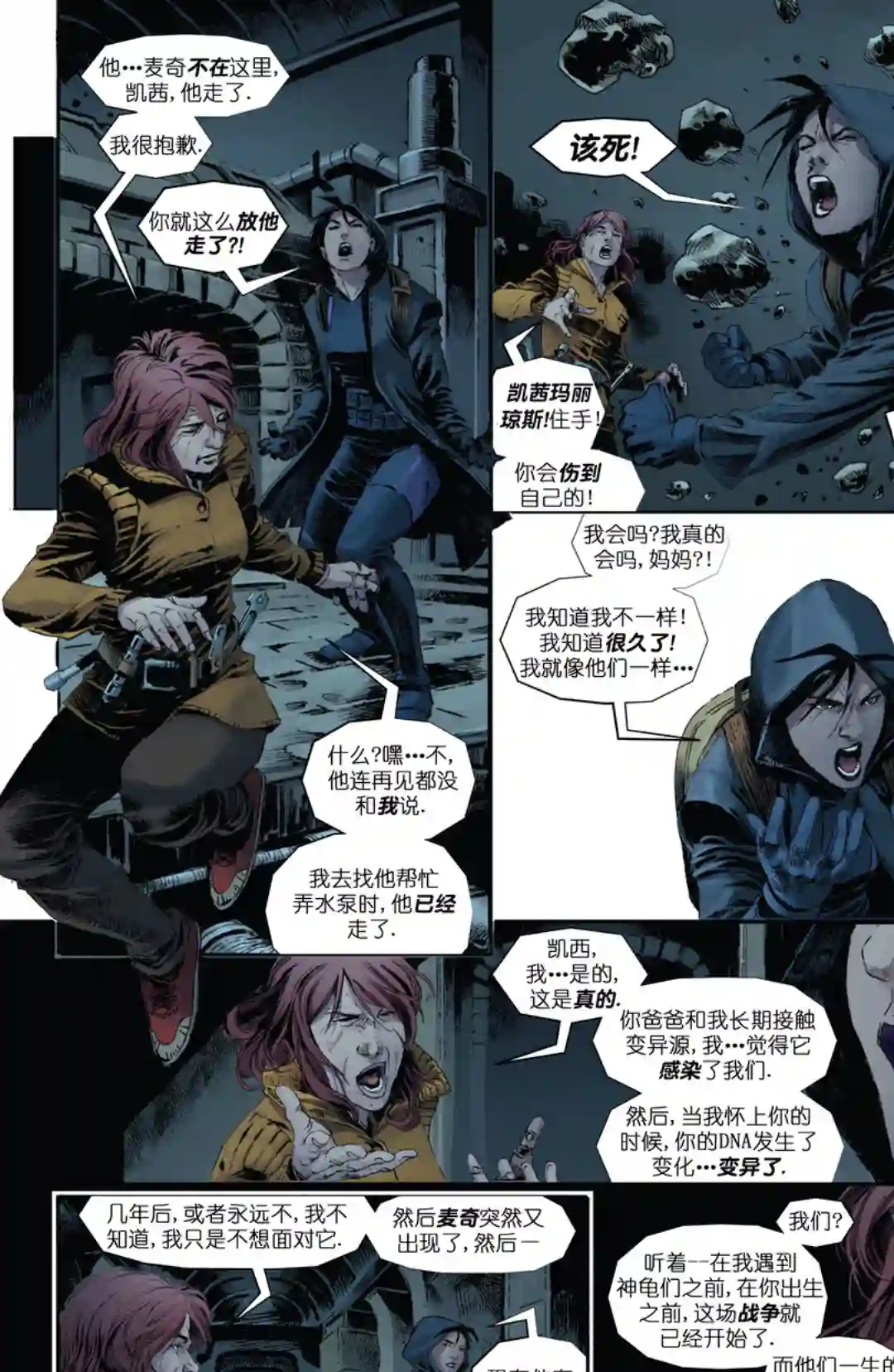 忍者神龟：最后的浪人第05卷