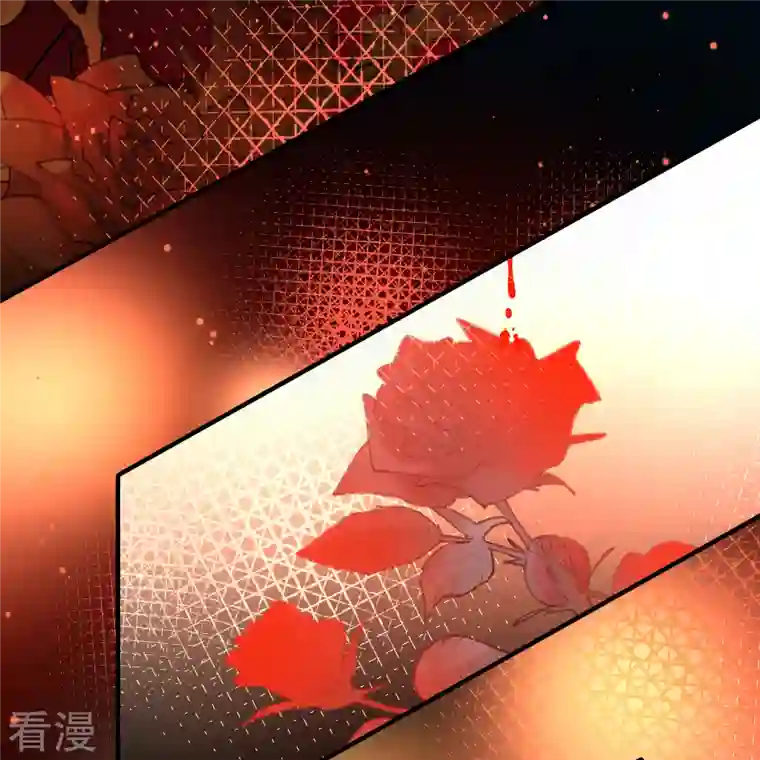 寻找前世之旅第2季第154话 玛雅女王1