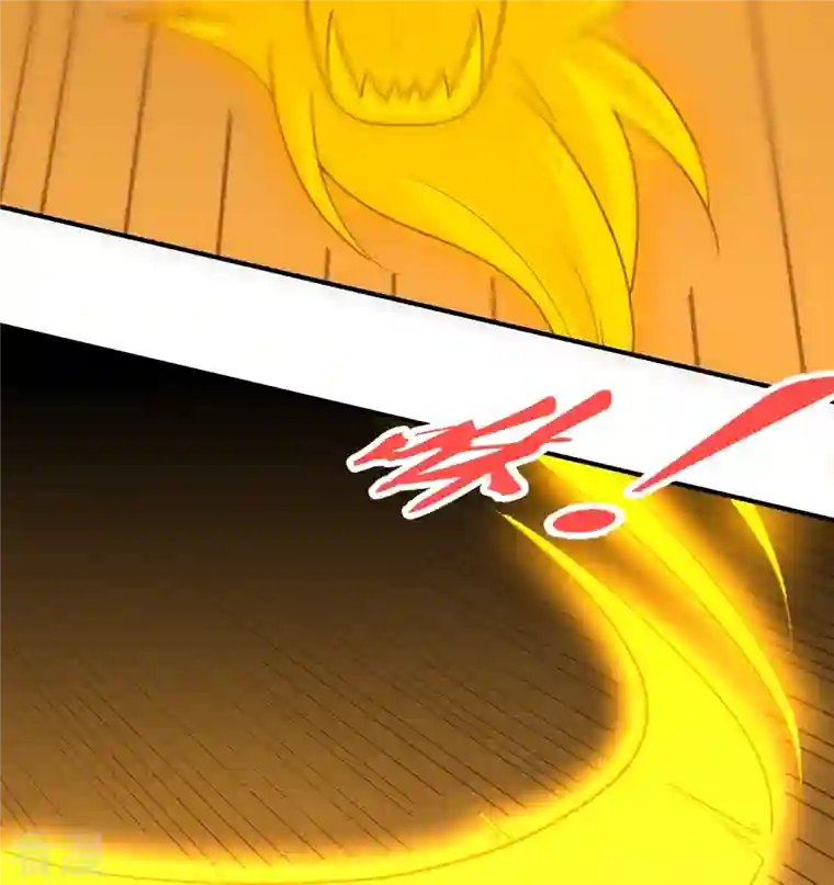 仙武帝尊第321话 叶辰殒命！