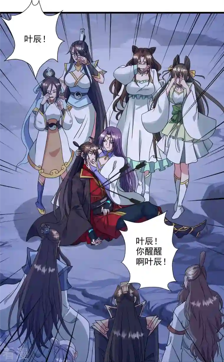 仙武帝尊第321话 叶辰殒命！