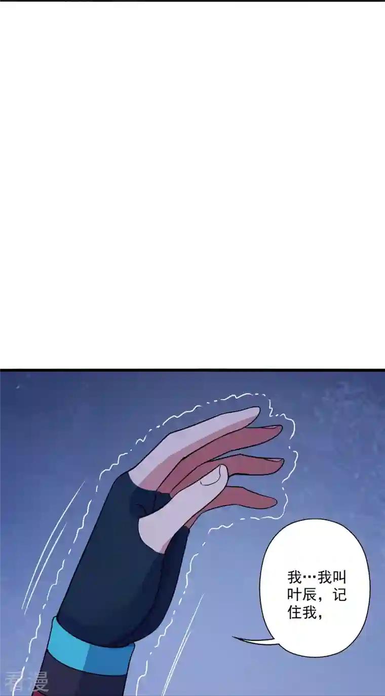 仙武帝尊第321话 叶辰殒命！